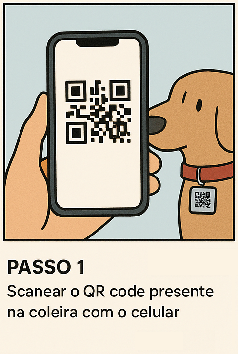 Passo 1