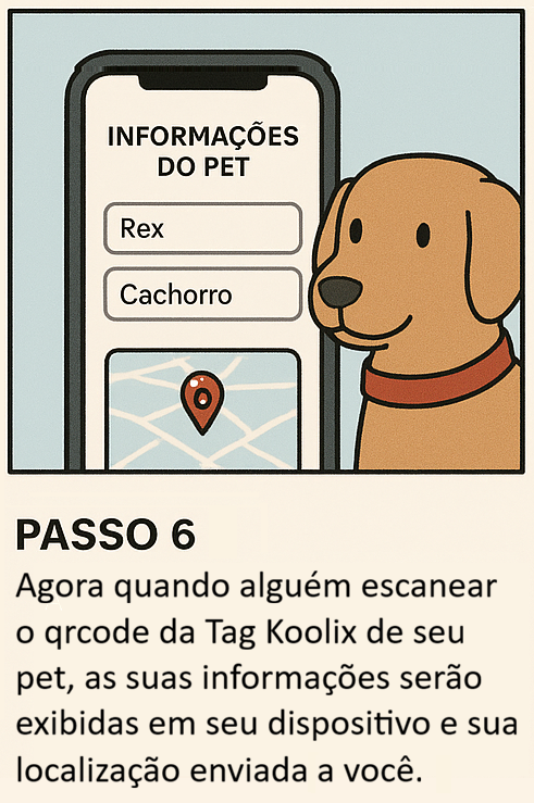 Passo 6